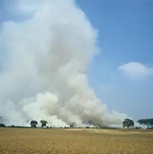 Towering: Burning stubble field
