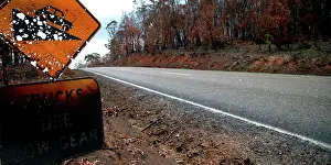 Burnt: Burnt road sign on Great Alpine Road after bushfire.Near