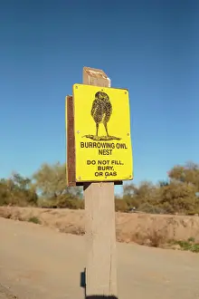 Signs: Burrowing Owl