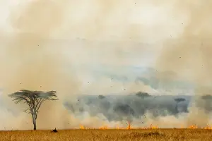 Smoke: Bush fire, Masai-Mara Reserve, Kenya