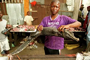 Amphbians: BUSH MEAT - Crocodile for sale at market