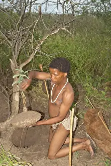 Extract: Bushman - digging up plant to extract drink from root