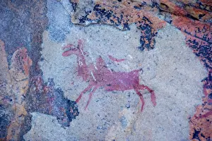 Bushman: Bushman paintings in the Cederberg Mountains, Cape