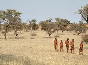 Bushman: Bushmen - presenting tourist demonstration - Camelthorn