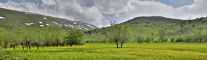 Surrounded: Buttercups in field, valley, surrounded
