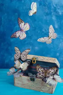 Gift: Butterflies flying out of an antique wooden ches