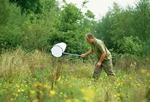 Collectors: Butterfly - Entomologist with net catching butterflies