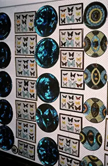 Souvenirs: BUTTERFLY - SOUVENIRS