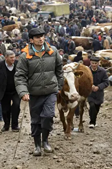 Headdress: Buyer emerging cattle market of Albac Mountains Apuseni