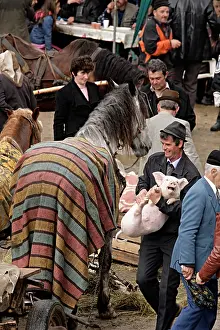 Blankets: Buyer Pork Cattle Market of Albac Mountains Apuseni Roumania
