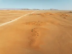 Dune: The C14 gravel road at the edge of the Namib Desert