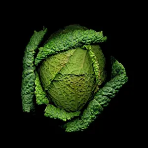 Savoy: Cabbage