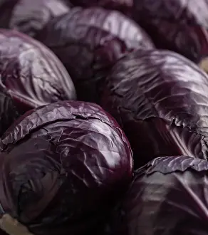 Shiny: Cabbage, Brassica oleracea capitata, Several shiny