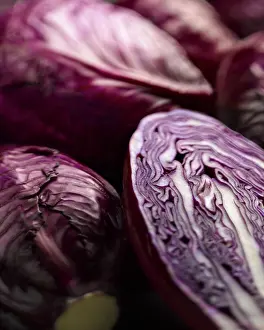 Capitata: Cabbage, Red cabbage, Brassica oleracea capitata