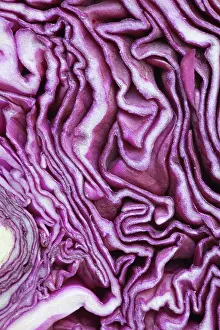Superfood: Cabbage, Red cabbage, Brassica oleracea capitata