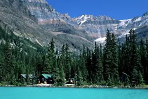 Cabins: Cabins of Lake O'Hara Lodge along shore
