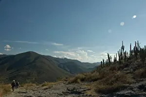 Away: Cactus