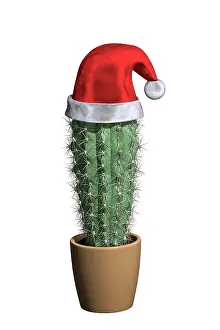 Claus: Cactus with Santa Claus hat, 3D illustration