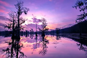 Flooded: Caddo Lake at sunrise