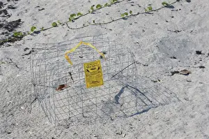 Marked: Cage Protecting Sea Turtle Nest