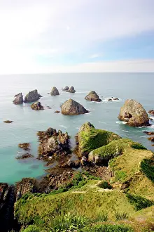 Catlins: Caitlins, Otago, Nugget Point, New Zealand