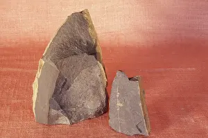 Calcareous: Calcareous Shale