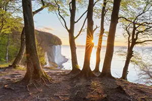 Baltic: Calk cliffs morning