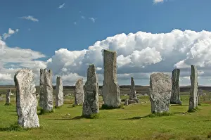 Excavations: Callanish Stones