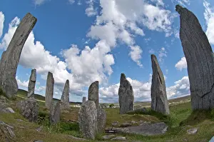 Excavations: Callanish Stones