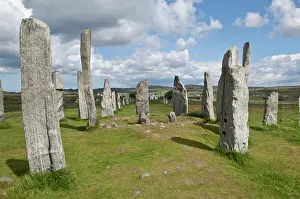 Excavations: Callanish Stones