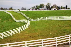 Louisville: Calumet Horse Farm