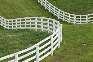 Louisville: Calumet Horse Farm