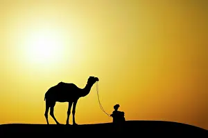 Thar: Camel and camel driver silhouetted at sunset