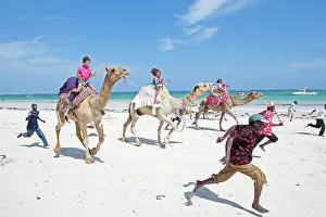 Handler: Camel Race on sandy beach