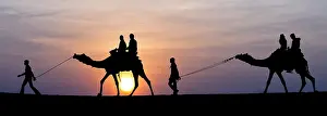 Towns: Camel Ride - in desert