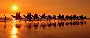 Broom: Camel safari - famous camel safari on Broom's Cable