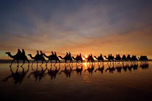 Broom: Camel safari - famous camel safari on Broom's Cable