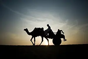 Sunsets: Camels - silhouette of riding camel