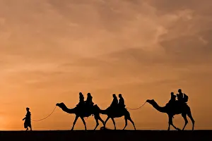 Sunsets: Camels - silhouette of riding camel