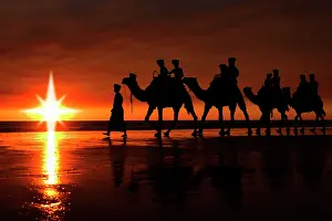 Wise: Camels walking following a star