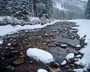 Cameron: Cameron Creek in winter in Waterton Lakes