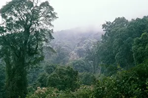 Cameroon West Africa
