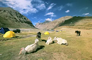 Tibet: Camping at Mt. Kailash