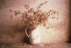 Campion: Campion
