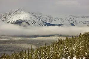 Grall: Canada, Alberta, Banff National Park. A