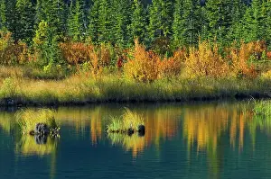 Vermillion: Canada, Alberta, Banff National Park. Autumn