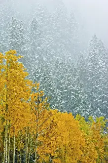 Falling: Canada, Alberta, Banff National Park. Falling