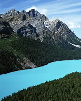 Peyto: Canada, Alberta, Banff National Park, Peyto