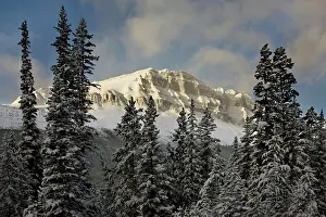 Grall: Canada, Alberta, Banff National Park. Sunshine