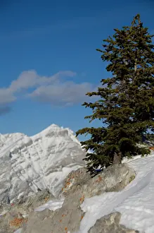 Sulphur: Canada, Alberta, Banff. Views from the summit